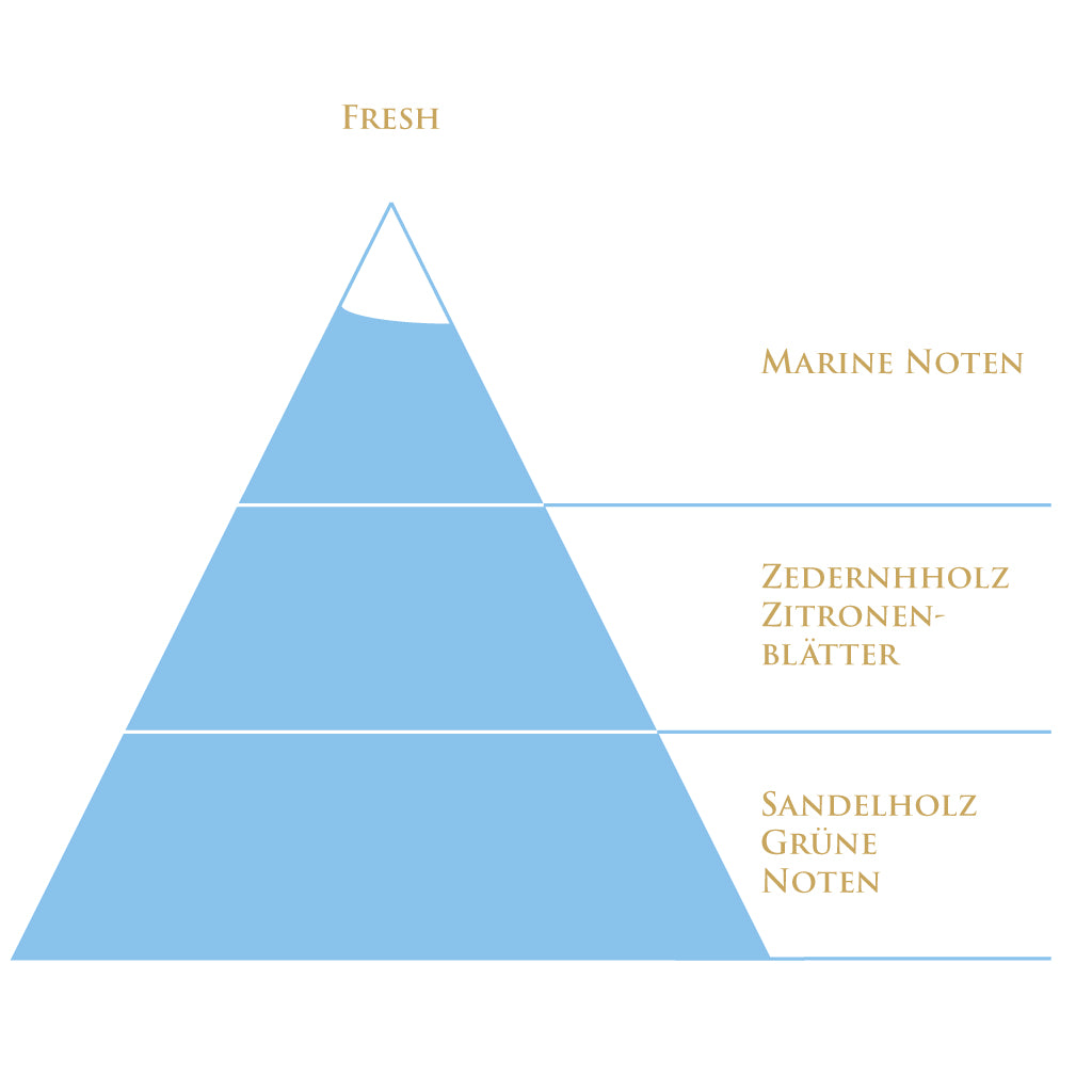 Duftpyramide des Raumdufts Fresh – zitrisch, holzig, grün & klar